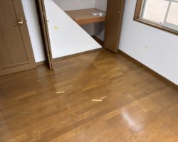 ACE65355-A1DD-4E86-AAF3-8E9049401015