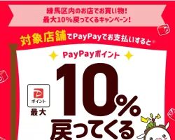 img_tokyo-nerima-city-20251201_mv_01